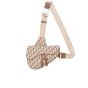 Dior x Cactus Jack Saddle bag
