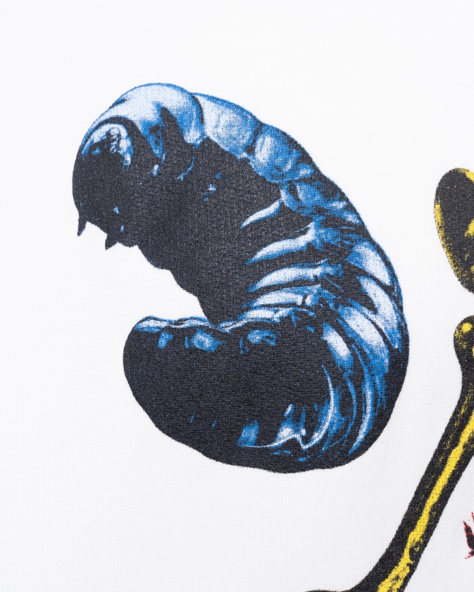 Dior x Cactus Jack oversized hoodie thumbnail